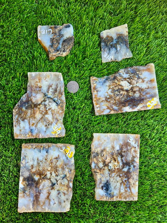 Graveyard Point Plume Agate Slabs G317-322