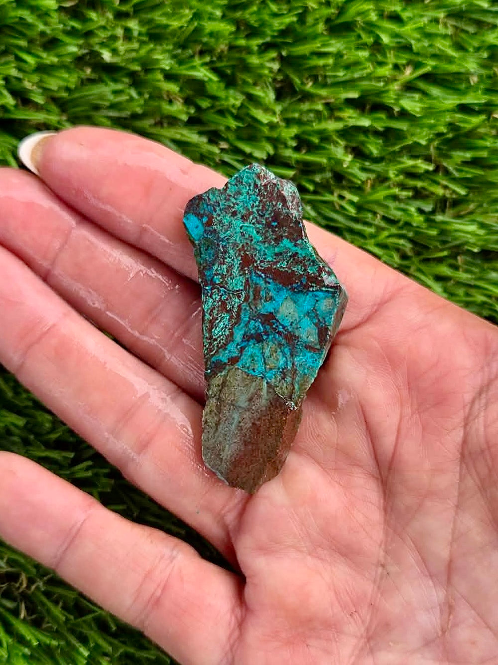 Globe Chrysocolla Slab Bundle -51