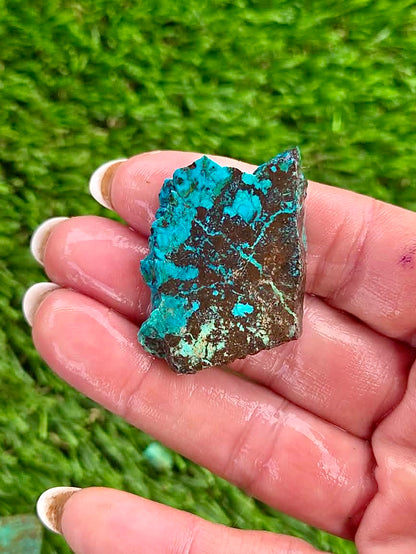 Globe Chrysocolla Slab Bundle -54