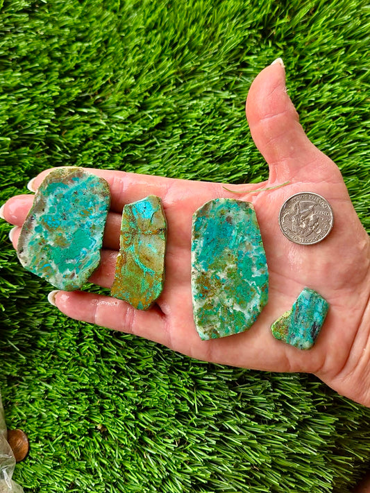 Globe Chrysocolla Slab Bundle -42