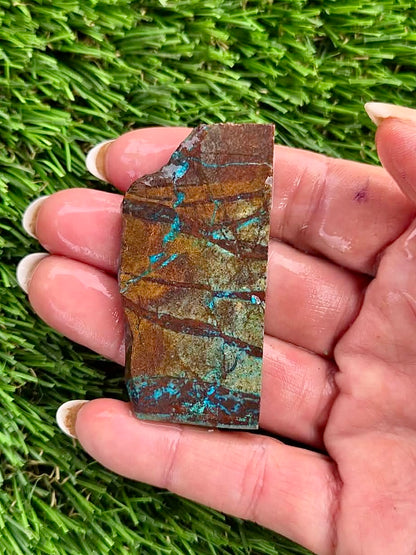 Globe Chrysocolla Slab Bundle -51