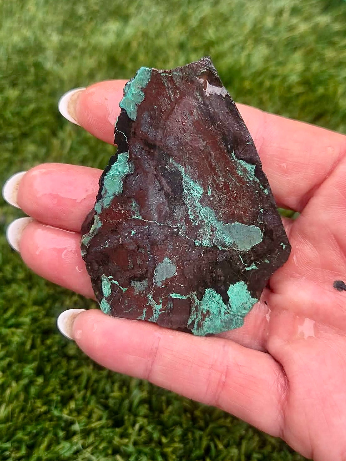 Globe Chrysocolla Slab Bundle -12