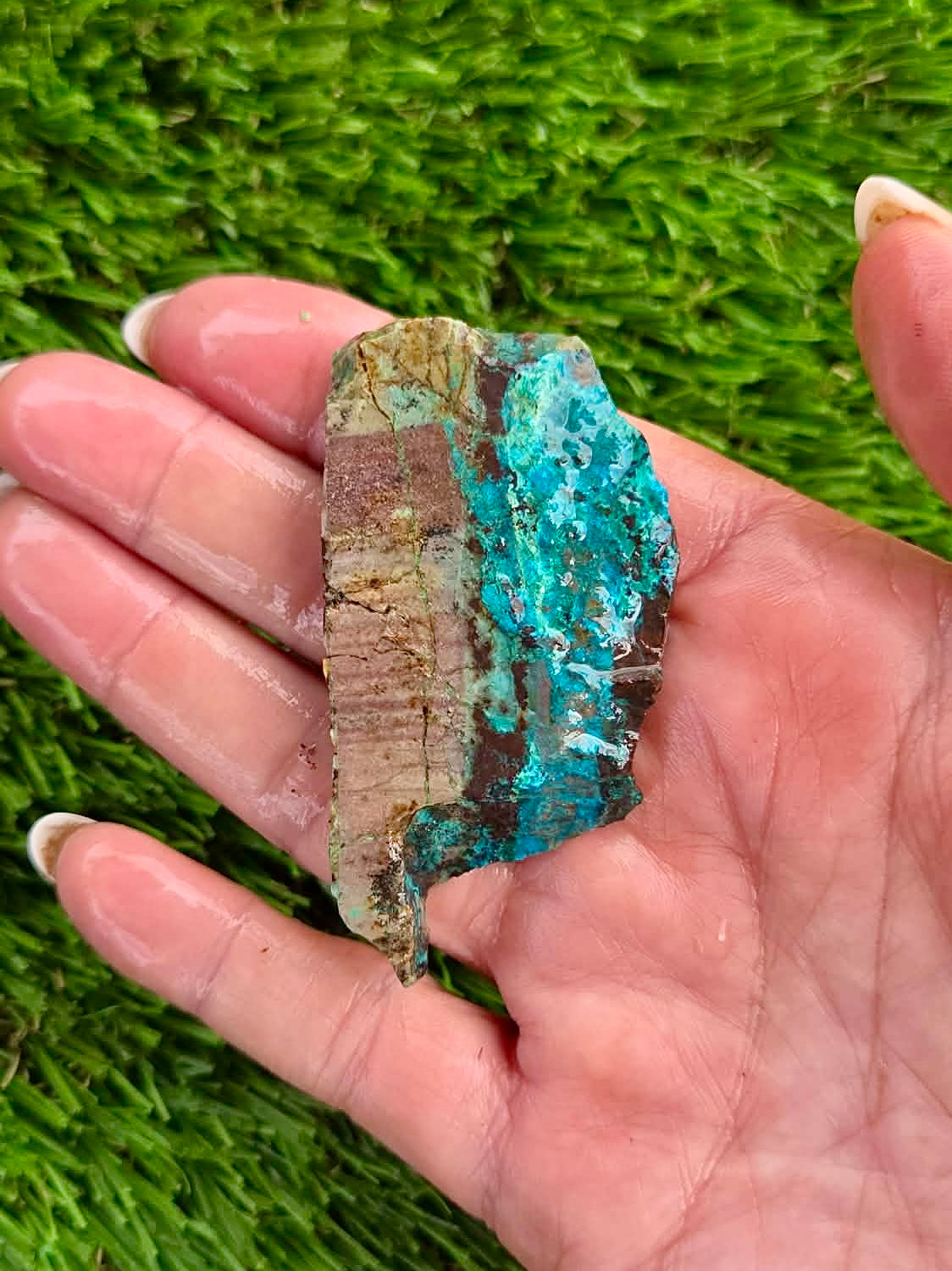 Globe Chrysocolla Slab Bundle -53