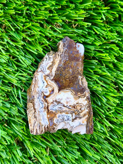 Arizona Agate Slab Bundle-67
