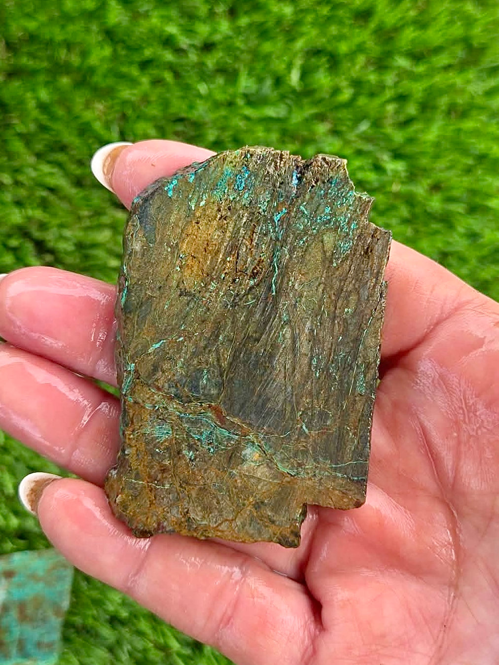 Globe Chrysocolla Slab Bundle -54