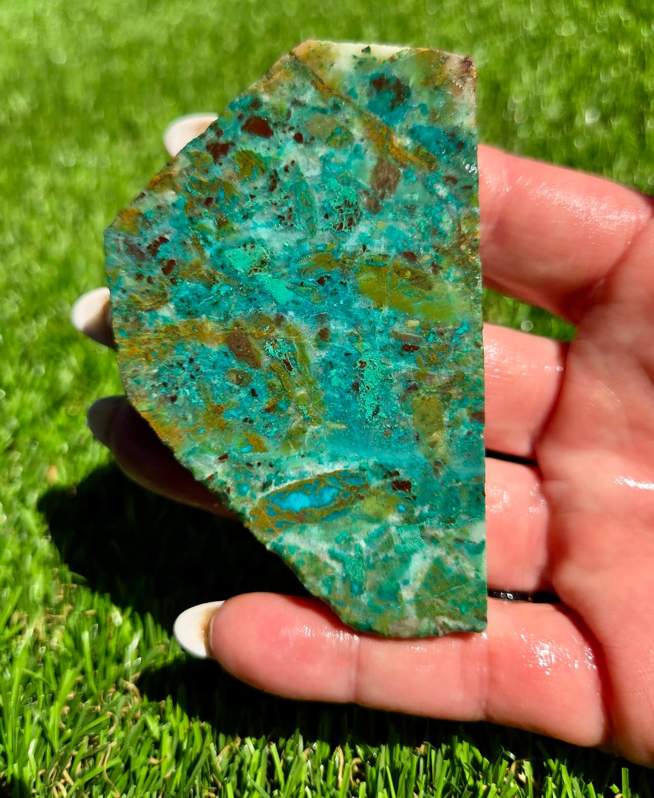 Globe Chrysocolla Slab Bundle -80