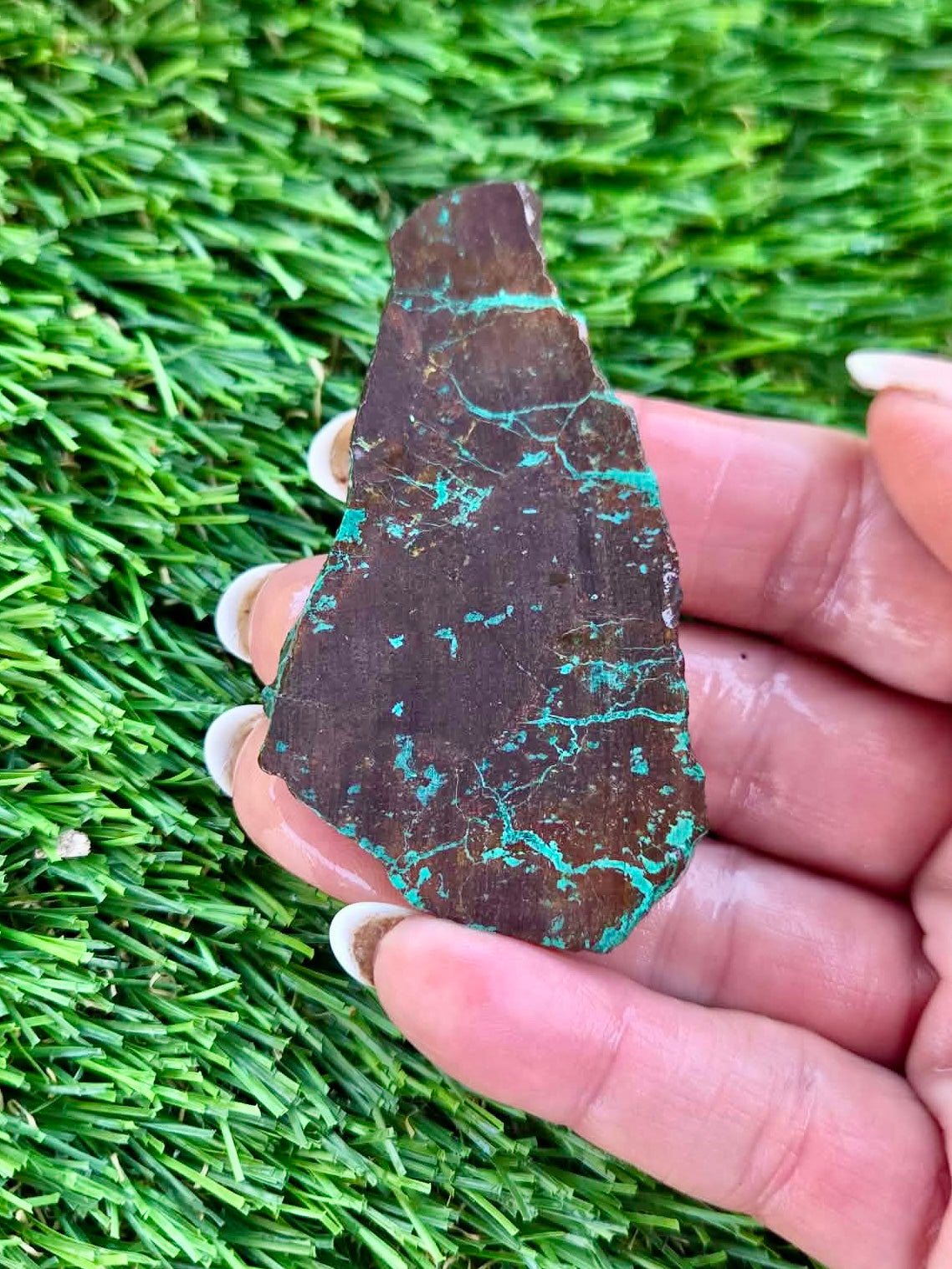 Globe Chrysocolla Slab Bundle -65