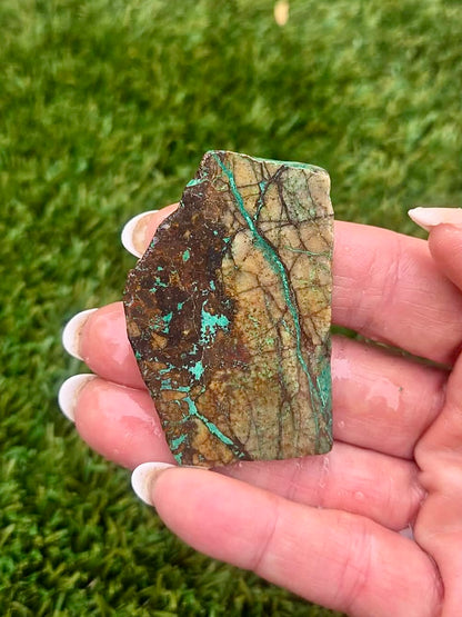 Globe Chrysocolla Slab Bundle -14
