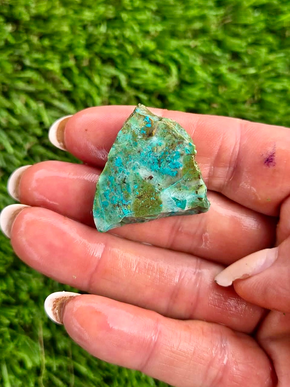 Globe Chrysocolla Slab Bundle -38