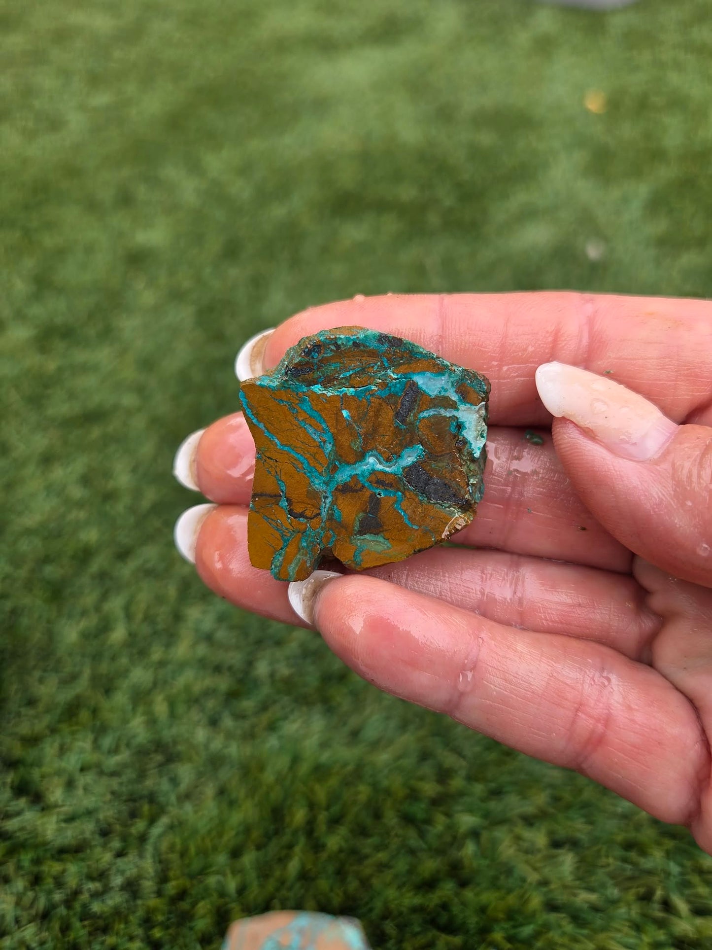 Globe Chrysocolla Slab Bundle -3